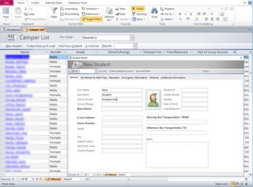 user forms access database