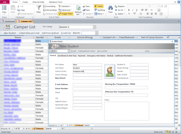 user forms access database